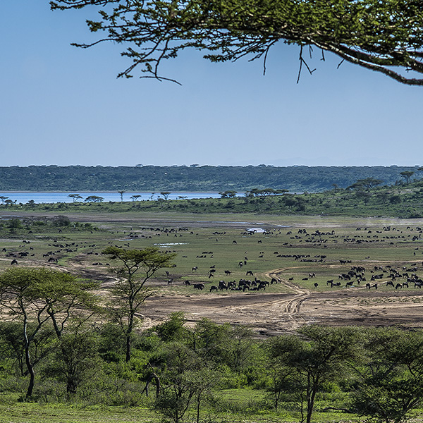 kimarishe surroundings