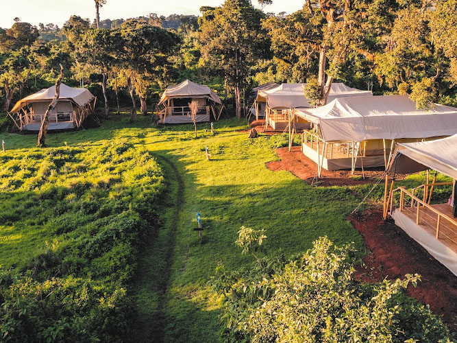 find ngorongoro