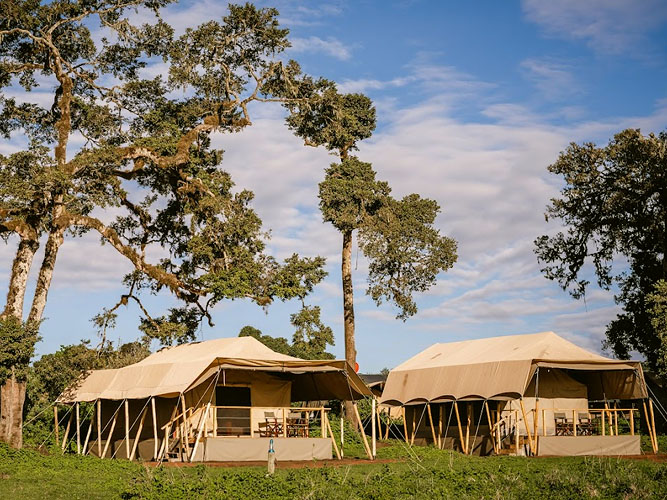 camp ngorongoro - Angata Camps