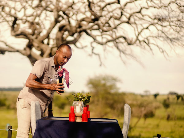 Book a tent at serengeti