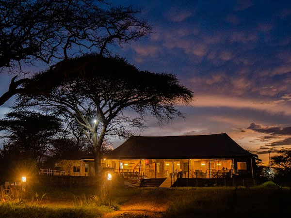 find serengeti