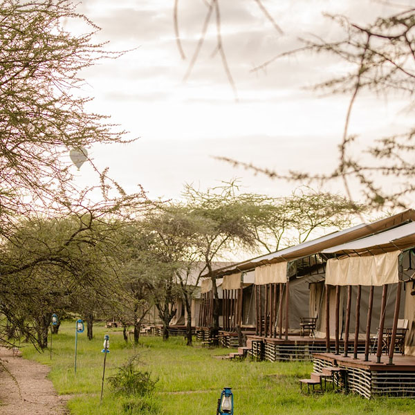 serengeti surroundings