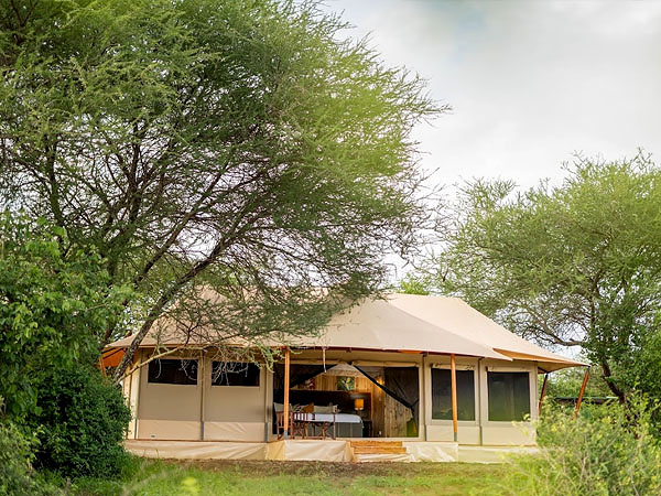 Book a tent at tarangire