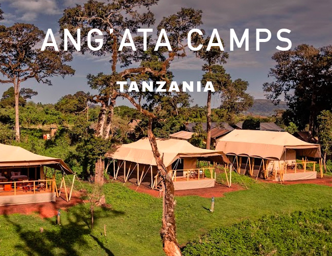 Intimate Places Tented Camp – ZAMAG Tours and Safaris – Agricultural Tour  Operators and Ground Handlers